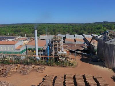 Pindó Bonos de Carbono