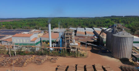 Pindó Bonos de Carbono