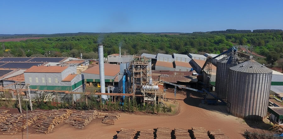 Pindó Bonos de Carbono